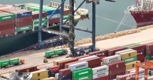 外貿(mào)訂單保衛(wèi)戰(zhàn) 貨代企業(yè)舉步維艱，策劃創(chuàng)意服務(wù)破局